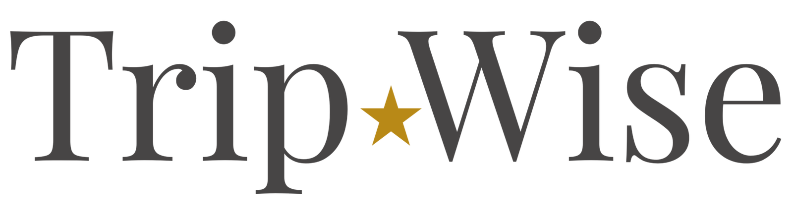 TripWise Logo